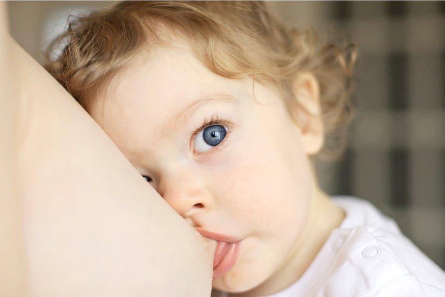 Cosa puoi mangiare per le madri che allattano: elenco prodotti
