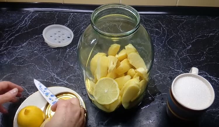 Magdagdag ng isang bilog ng lemon sa quince sa garapon.