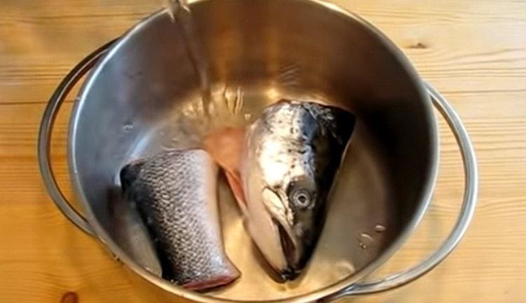 Per preparare il brodo, puoi usare la testa e la coda del pesce.