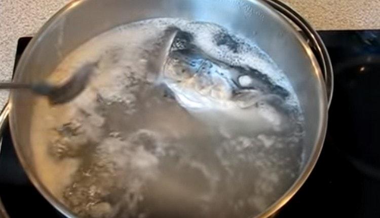 Riempi il pesce con acqua quando il brodo bolle, rimuovi la schiuma da esso.