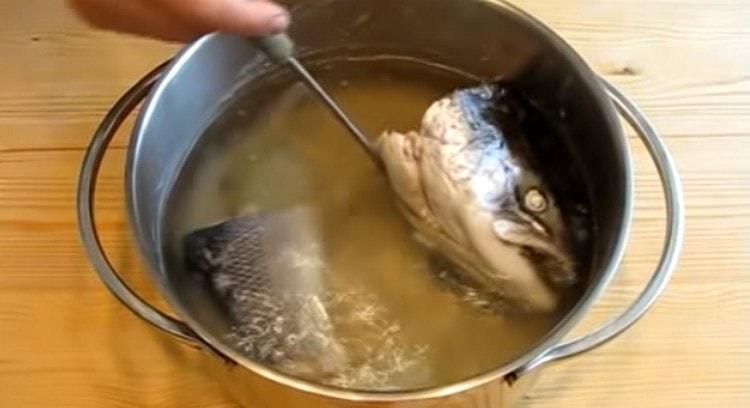Rimuovere il pesce e la cipolla dal brodo finito.