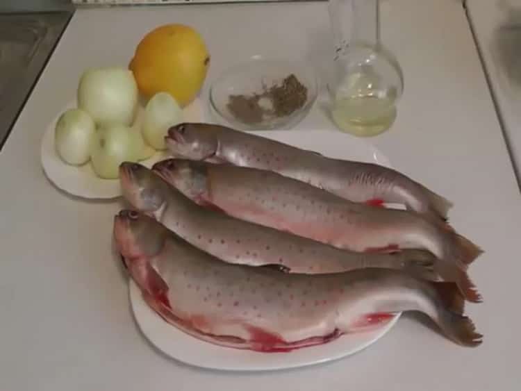 Fisch Saibling kochen. bereite die Zutaten vor