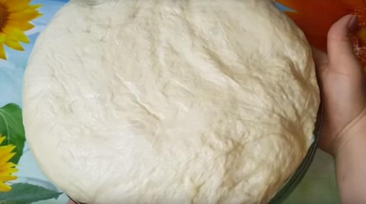 Üppiger Teig für Weiße wird nur noch geknetet, und es kann Backen entstehen.