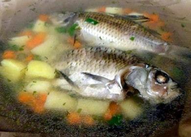Orecchio appetitoso della carpa crucian: prepariamo secondo la ricetta passo-passo con una foto.