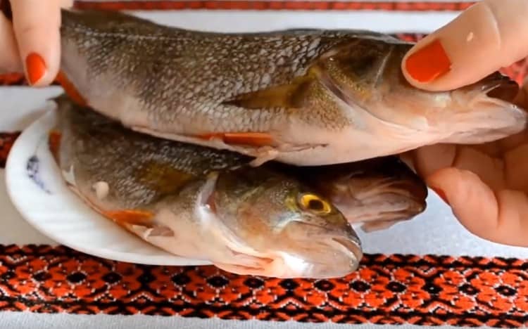 Pulisci il pesce persico dalle squame, risciacqua, intestino.