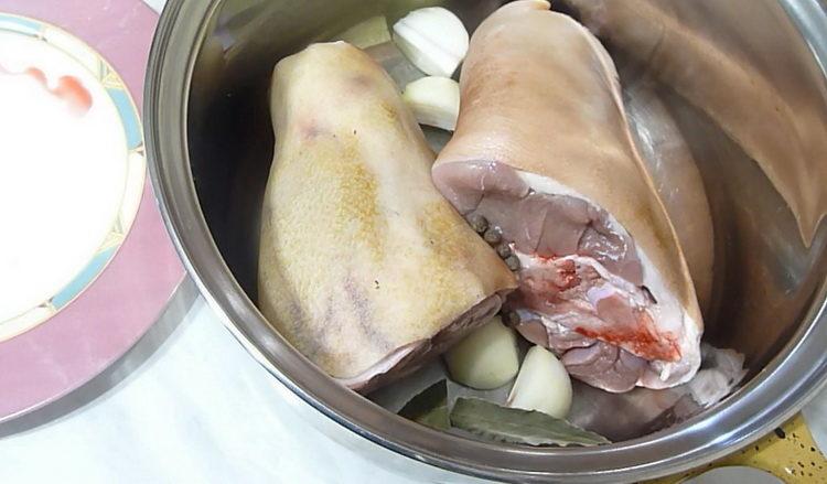 Cucinare la ricetta in gelatina con stinco di maiale